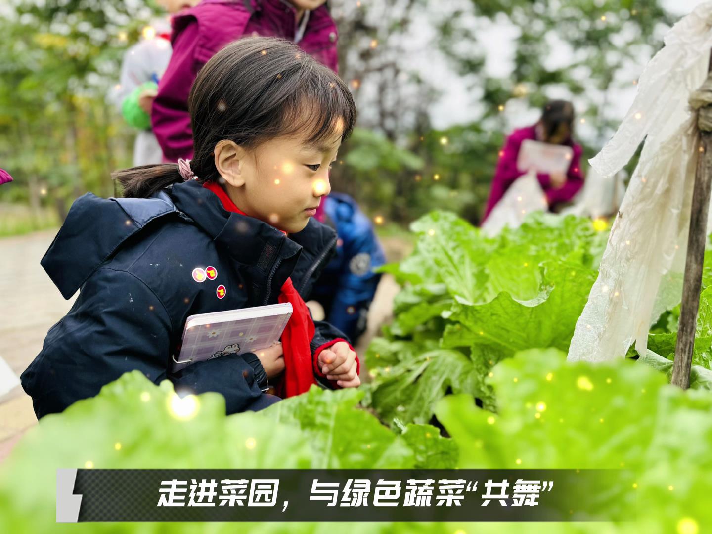 #美好學(xué)校|留校時光，走出教室，與綠色蔬菜共舞
