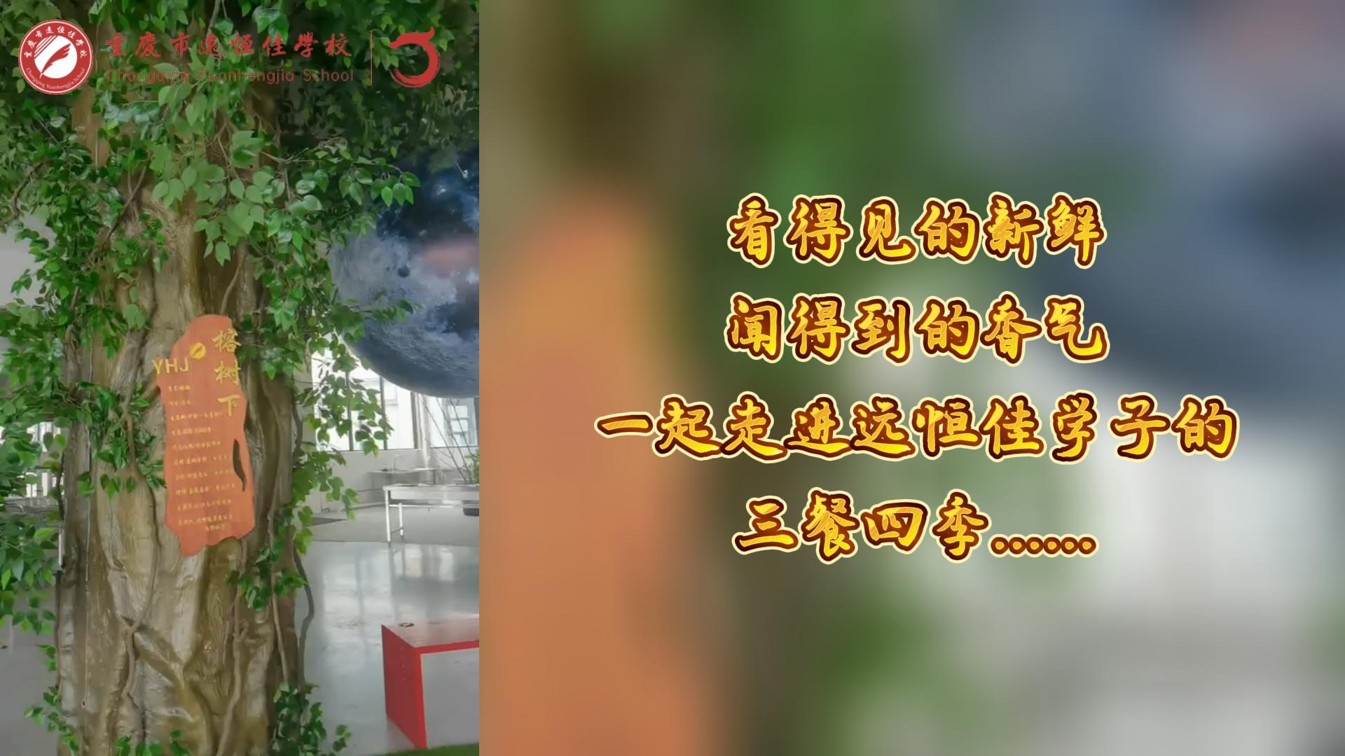 #美好學(xué)校|看得見的新鮮，聞得到的香味，一起走進遠恒佳學(xué)子的三餐四季!